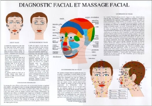 Poster plastifié Diagnostic et massage facial (A2)