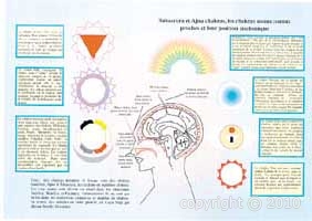 Planche plastifiée Chakras moins connus - fond bleu (A4)