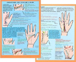 Planche plastifiée Chirologie, les lignes de la main (B5)