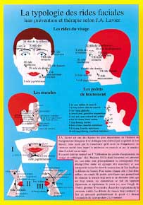 Planche plastifiée la Typologie des rides faciales selon Lavier (A4)