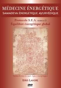 Dvd coffret Ayurveda Energétique pour thérapeute vol 2