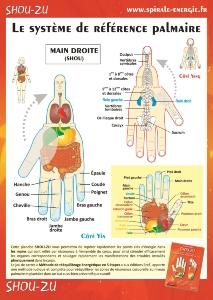 Planche plastifiée Le système de référence palmaire (A4)