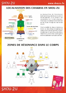 Planche plastifiée Les chakras en Shou-Zu (A4)