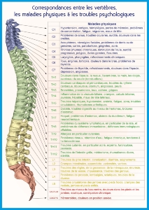 Planche plastifiée Vertèbres, maladies physiques et psychologiques (A4)