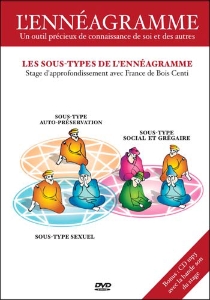 Coffret dvd de formation aux 27 sous types de l'Ennéagramme (4 DVD)