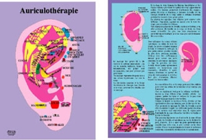 Planche plastifiée Auriculothérapie (B5)