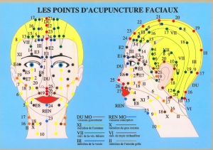 Planche plastifiée les Points d'acupuncture faciaux (A4)