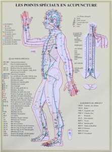 Planche plastifiée les Points spéciaux en acupuncture (A4)