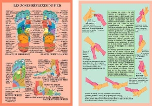Planche plastifiée les Zones réflexes du pied (B5)