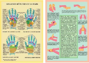 Planche plastifiée les Zones réflexes de la main (B5)