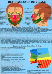 Planche plastifiée Réflexologie du visage (A4)