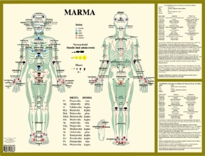 Poster plastifié Marma et les points ayurvédiques (A2)
