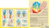 Planche plastifiée les Zones réflexes de la main et du pied (A4)
