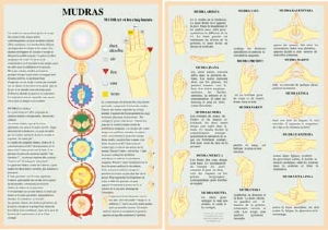 Planche plastifiée les Mudras et les cinq éléments (A4)