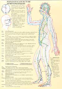 Planche plastifiée Points d'acupunctures symptomatiques (A4)
