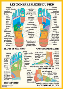 Poster plastifié les Zones réflexes des pieds (A2)