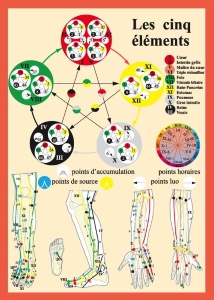 Planche plastifiée les Cinq éléments en acupuncture (A4)