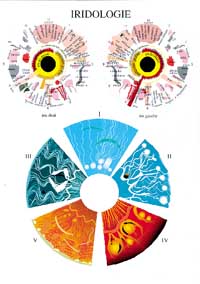 Planche plastifiée Iridologie (A4)