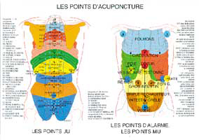 Planche plastifiée les Points d'acupuncture (A4)