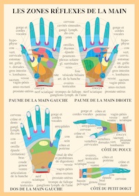 Poster plastifié les Zones réflexes de la main (A2)