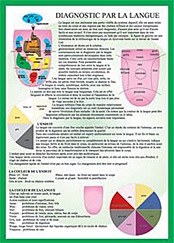 Planche plastifiée Diagnostic par la langue (A4)