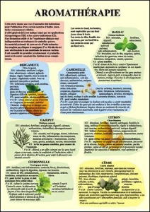Planche cellophanée Aromathérapie (A4 double)