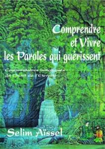 Comprendre et vivre les paroles qui guérissent t2, Selim Aïssel