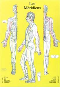 Planche plastifiée les Méridiens Chronobioenergetica (A4)