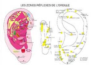 Planche plastifiée les Zones réflexes de l'oreille (A4)