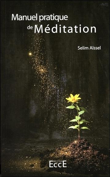 [9782351953303] Manuel pratique de Méditation T1