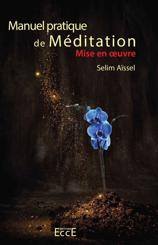 [9782351953556] Manuel pratique de Méditation T3 - Mise en oeuvre