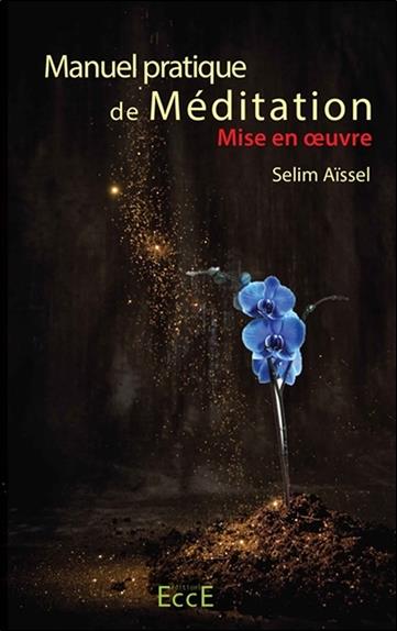 [9782351953556] Manuel pratique de Méditation T3 - Mise en oeuvre