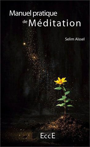 [9782351951880] [épuisé] Manuel Pratique de Méditation T1