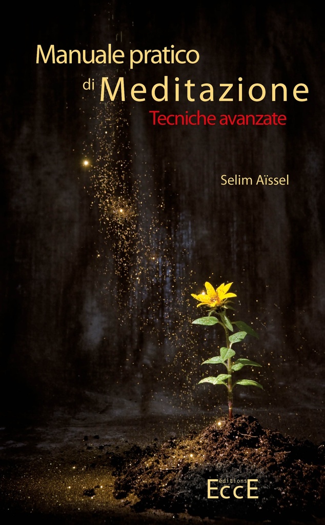 [9782351953754] Manuale pratico di Meditazione - Tecniche avanzate T2 [IT]